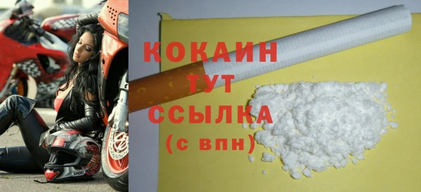 мдпв Богданович