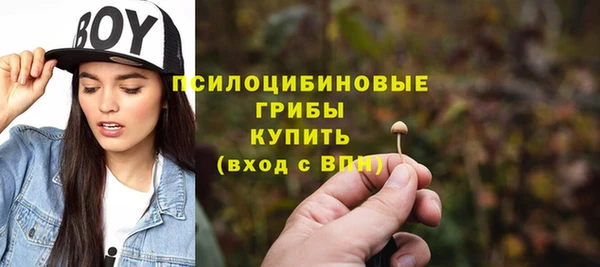 тгк Богородск