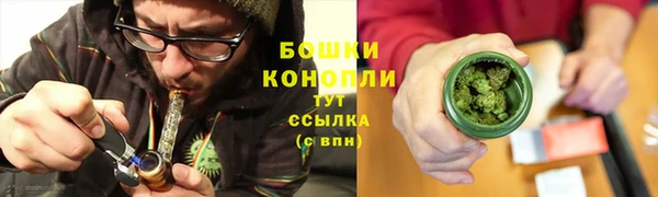 мдпв Богданович