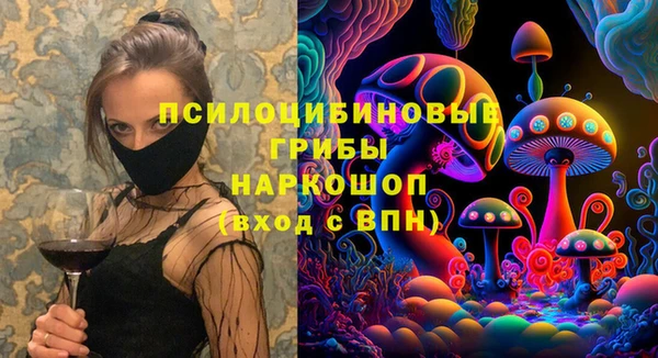 тгк Богородск